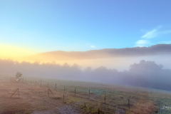 First-Light-Through-The-Mist