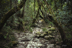 The-Hidden-Way-2