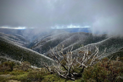 Where-Weather-Gathers-2