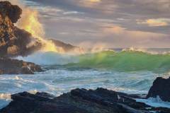 1_Green-Fire-Morning-2